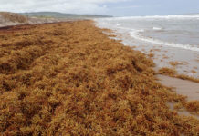 The Rise Of Nutraceuticals Looking For Super Foods But Don’t Know Where To Turn? The Rise Of Nutraceuticals Looking For Super Foods But Don’t Know Where To Turn?