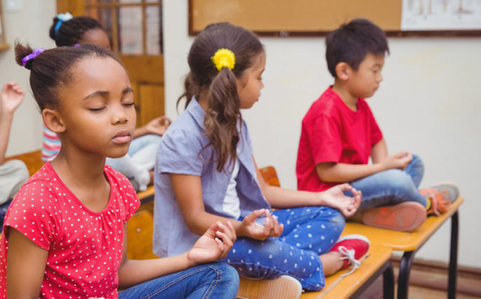 Teaming Up for Mindfulness